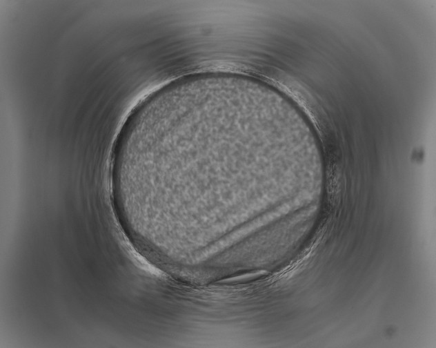 X0000097760987200803281629