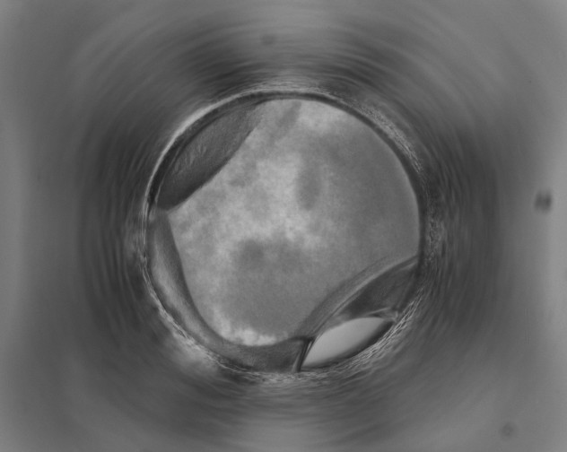 X0000097760988200803281629