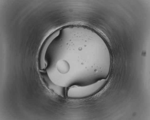 X0000097760989200803281629