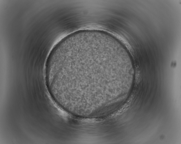 X0000097760990200803281629