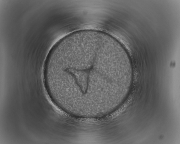 X0000097760991200803281629