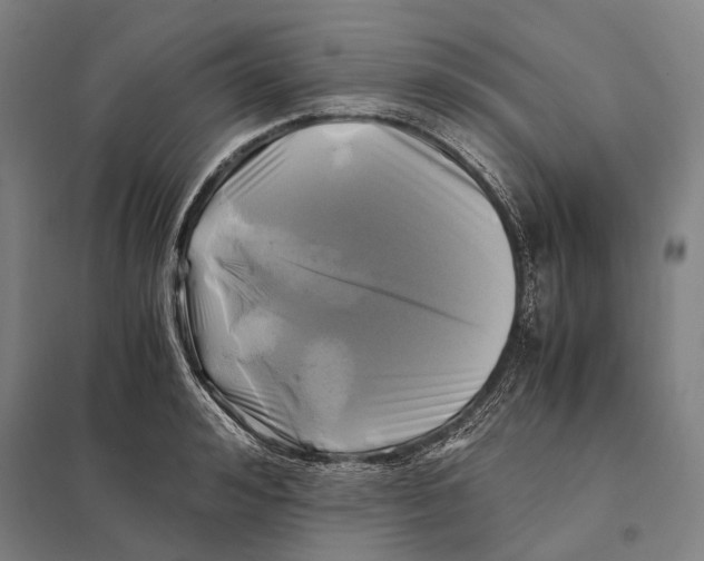 X0000097760992200803281629