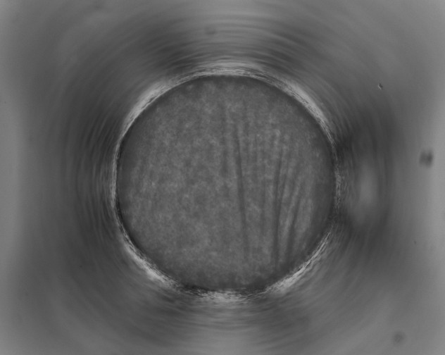 X0000097760994200803281629