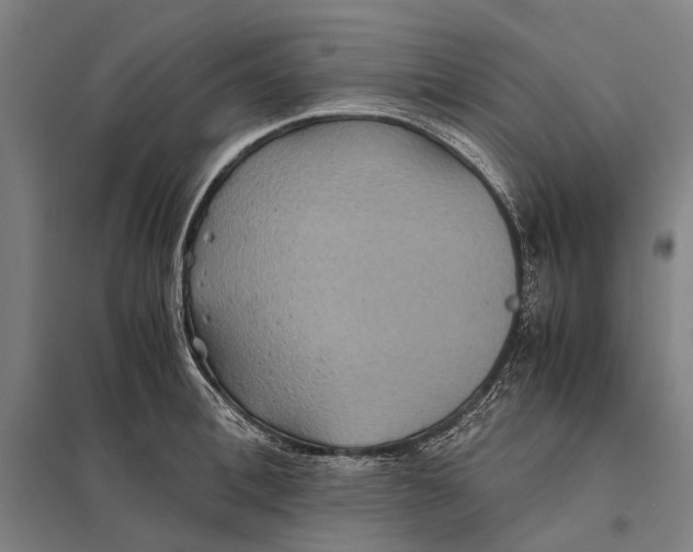 X0000097760996200803281629