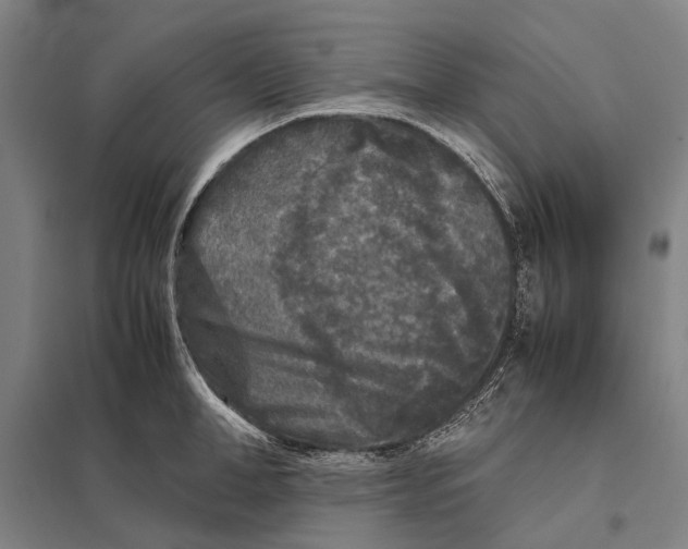 X0000097760998200803281629