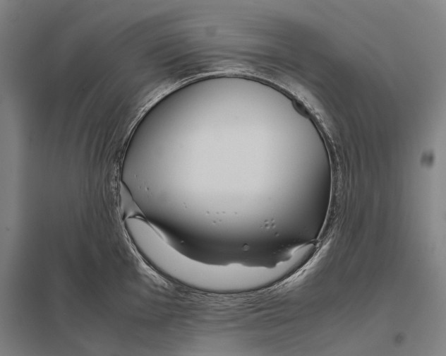 X0000097761001200803281629