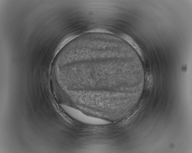 X0000097761002200803281629