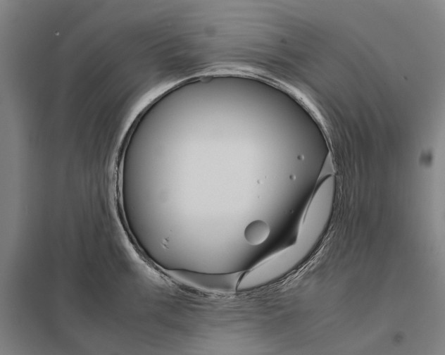 X0000097761003200803281629