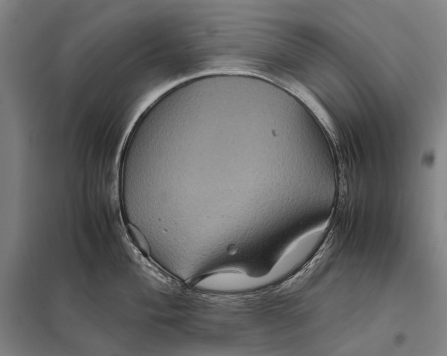 X0000097761004200803281629