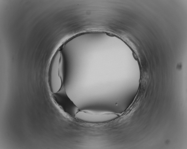 X0000097761005200803281629