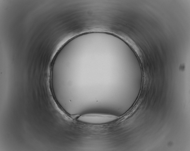 X0000097761006200803281629