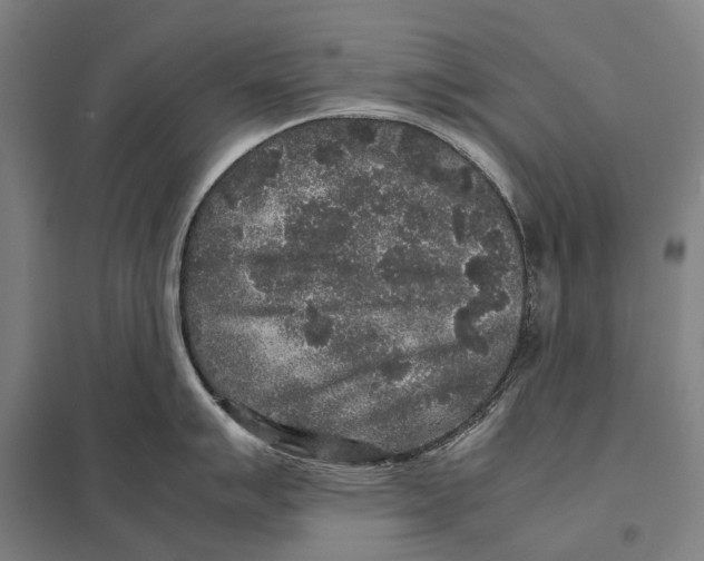 X0000097761007200803281629