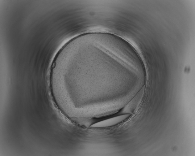 X0000097761008200803281629