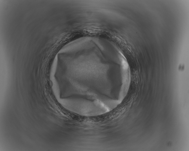 X0000097761009200803281628