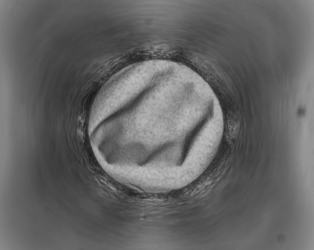 X0000097761010200803281628