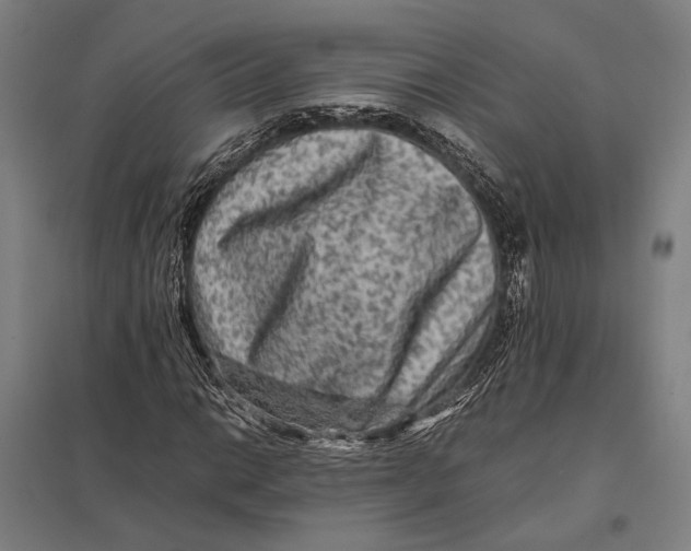 X0000097761014200803281628