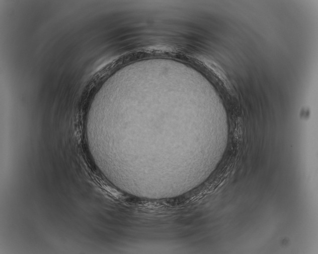 X0000097761015200803281628