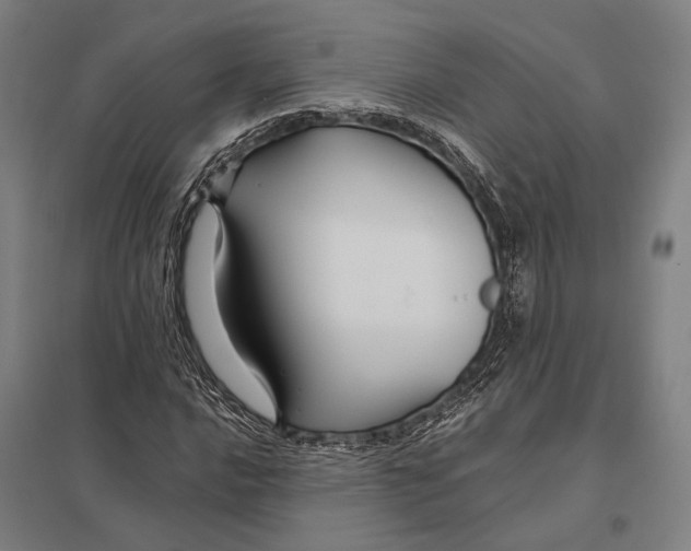 X0000097761016200803281628