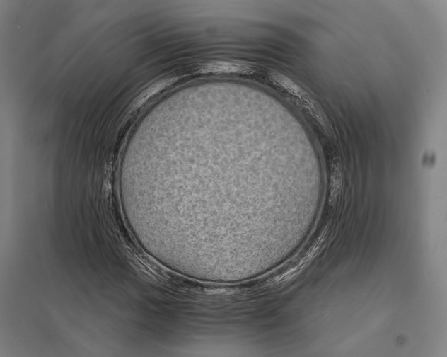 X0000097761017200803281628