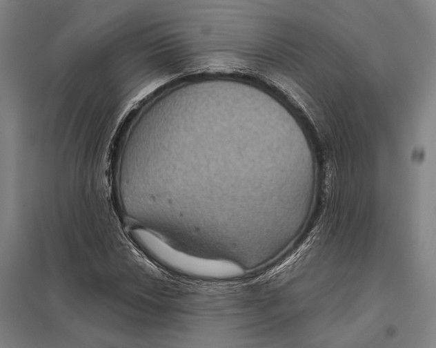 X0000097761018200803281628