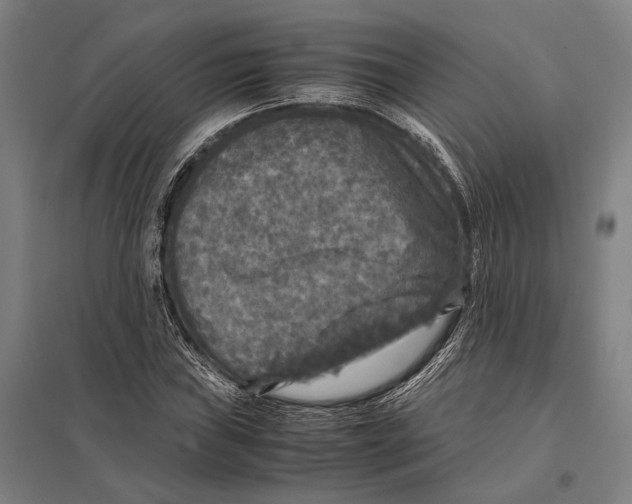 X0000097761019200803281628