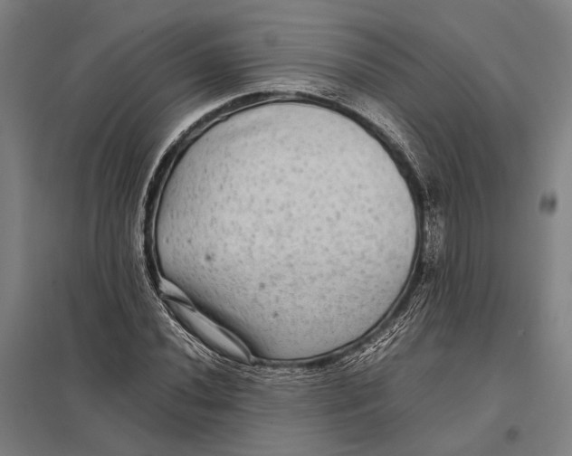 X0000097761020200803281628