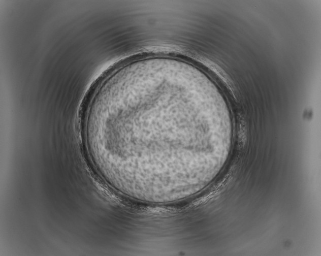 X0000097761022200803281628