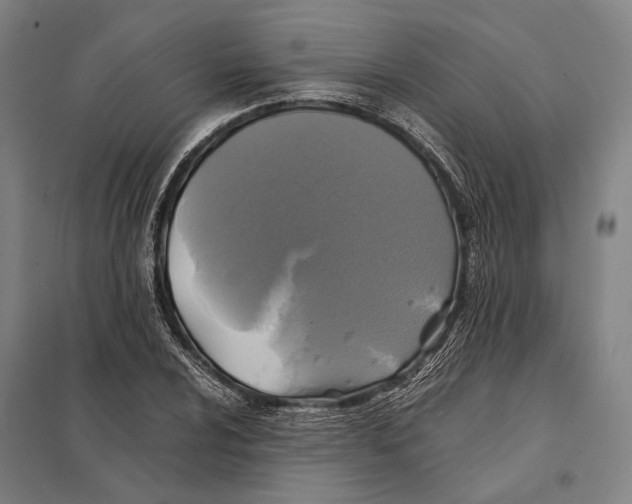 X0000097761024200803281629