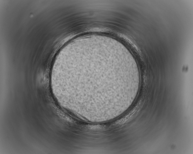 X0000097761025200803281629