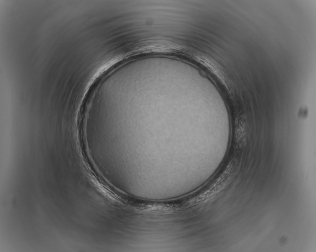 X0000097761026200803281629