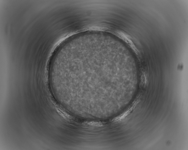 X0000097761027200803281629