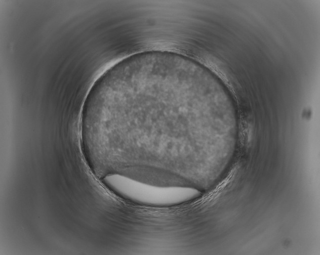 X0000097761028200803281629