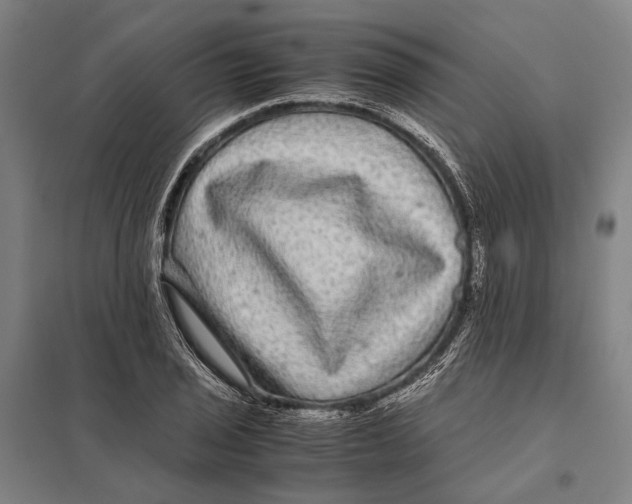 X0000097761029200803281629