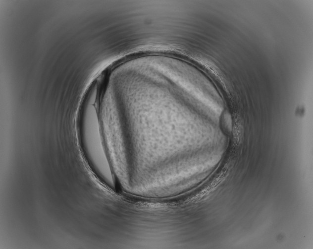 X0000097761030200803281629