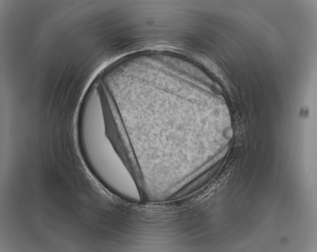 X0000097761032200803281629