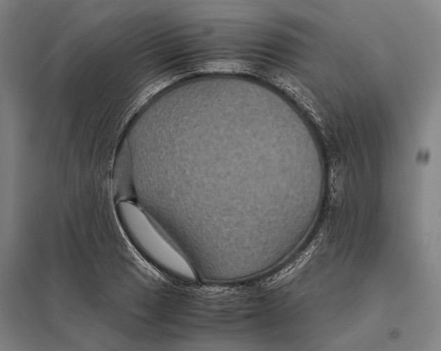 X0000097761033200803281629