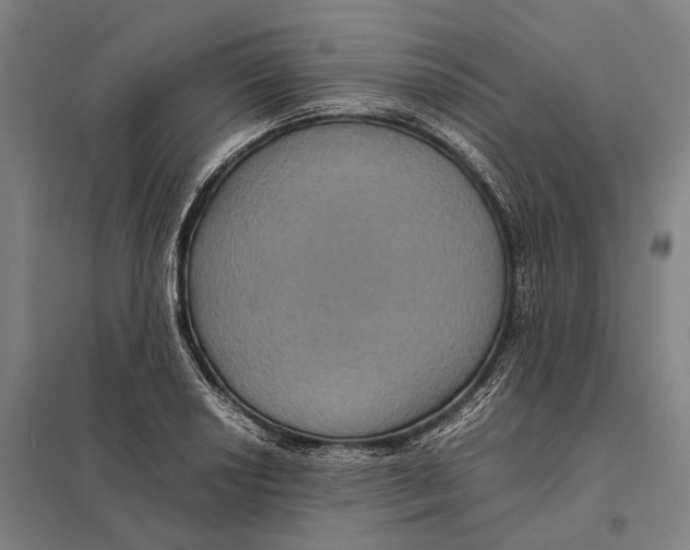 X0000097761034200803281629