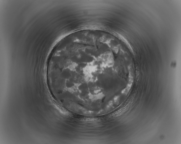 X0000097761035200803281629