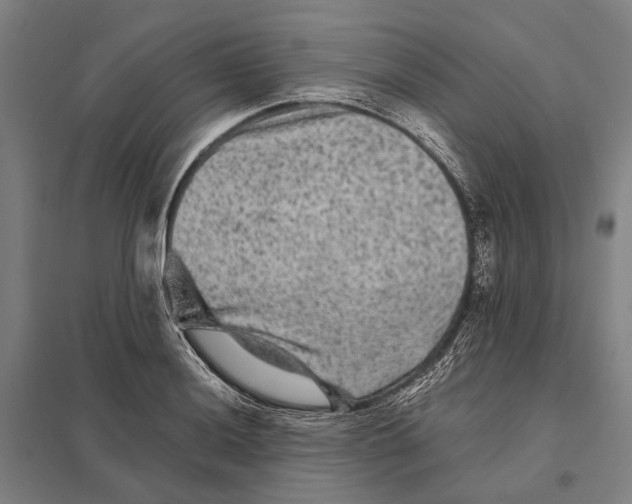 X0000097761036200803281629