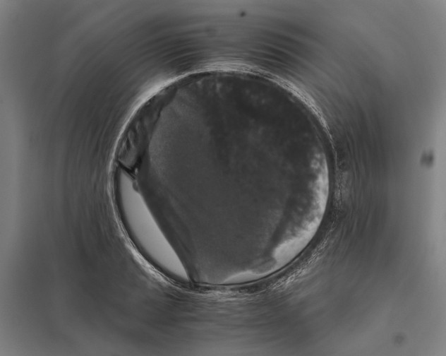 X0000097761037200803281629