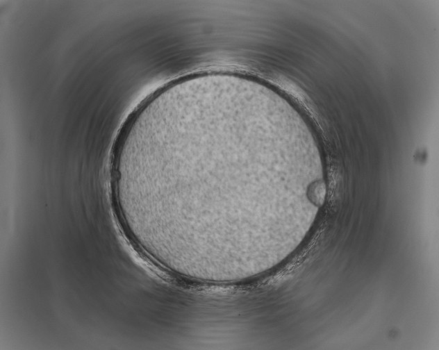 X0000097761038200803281629