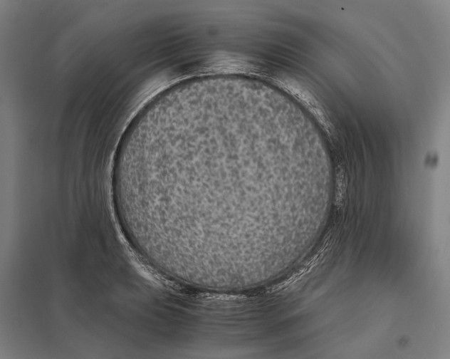 X0000097761039200803281629