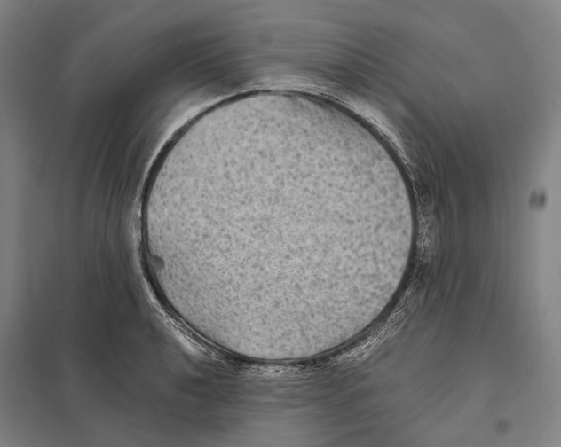 X0000097761040200803281629