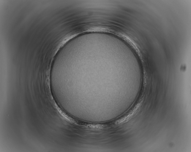 X0000097761041200803281629