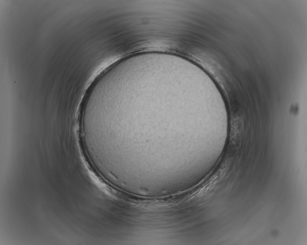 X0000097761042200803281629