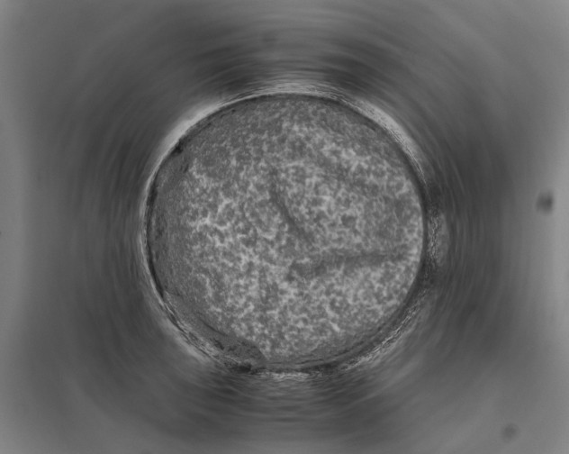 X0000097761043200803281629