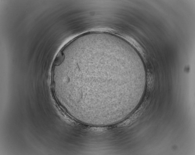 X0000097761044200803281629