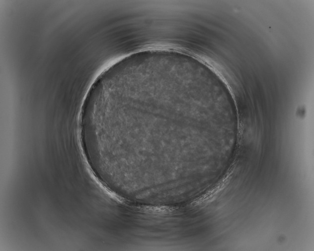 X0000097761045200803281629