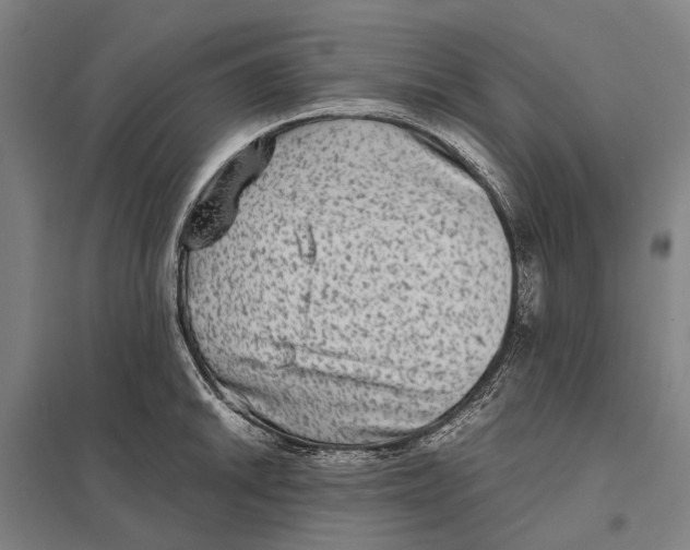 X0000097761046200803281629