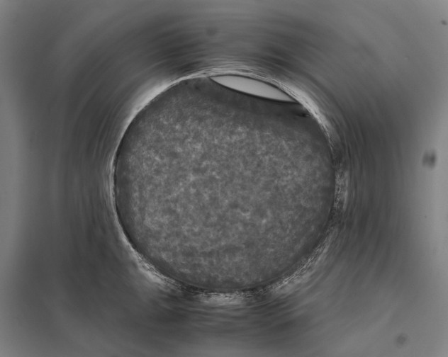 X0000097761047200803281629